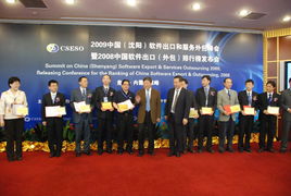 2009年中国沈阳软件出口与服务外包峰会 共谋产业发展新篇章