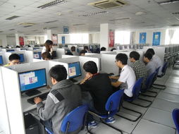 青岛职业技术学院软件与服务外包学院 培养软件外包服务精英的摇篮